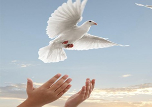 آزادی زندانیان در گلستان