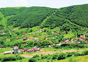 افزایش ۱۷ درصدی پرونده‌های زمین خواری در گلستان