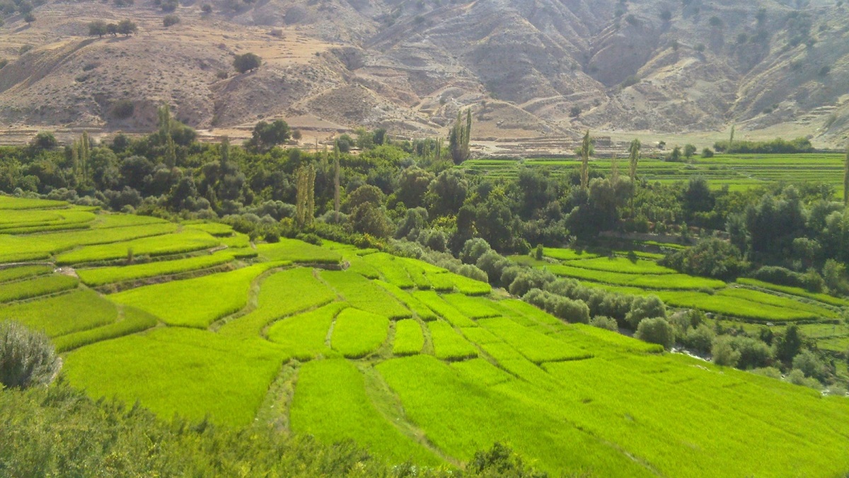 ماجرای حضرت ابراهیم (ع) و نمرود کجا رخ داد؟(ویژه نوروز)