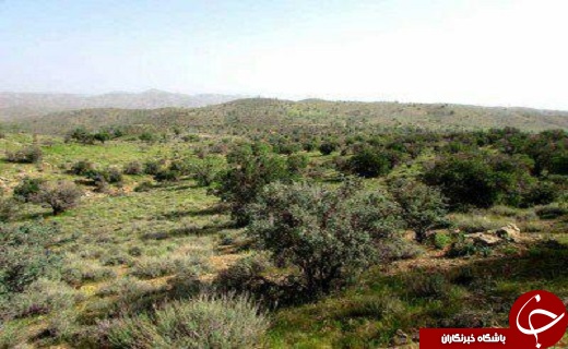 جاذبه&zwnj;های گردشگری شهرستان خاتم میزبان گردشگران در ایام نوروز