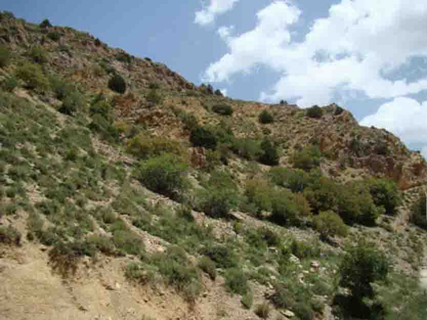 باجگیران؛ نقطه صفر مرزی ایران و ترکمنستان(ویژه نوروز)