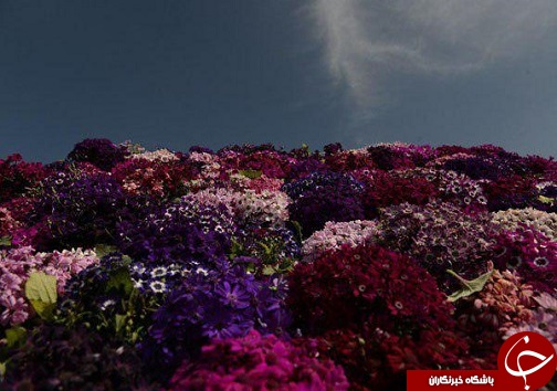 حال وهوای نوروزی شهرستان ارومیه+تصاویر
