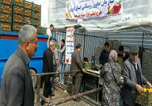 بازدید از غرفه‌های طرح تنظیم بازار قزوین