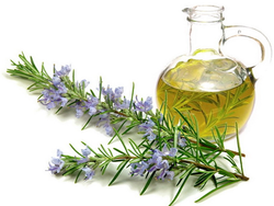 هر آنچه درباره روش استفاده از رزماری باید بدانید