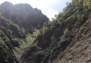 منظره ای دیدنی و زیبا از سفیدآب + فیلم