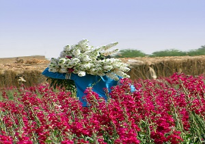 افتتاح اولین جشنواره گل و گیاه در حمیدیه