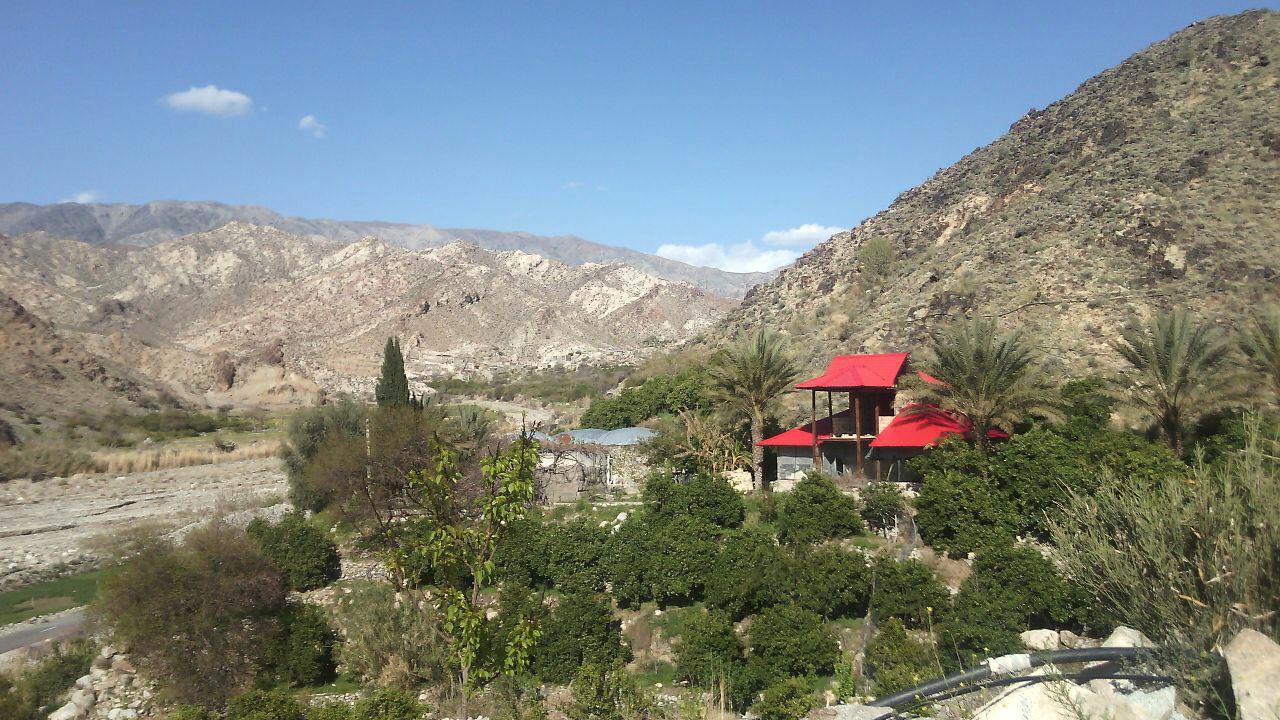 روستایی عجیب در جنوب کرمان/ برداشت خرمای گرمسیر وگردوی سردسیر دریک روز