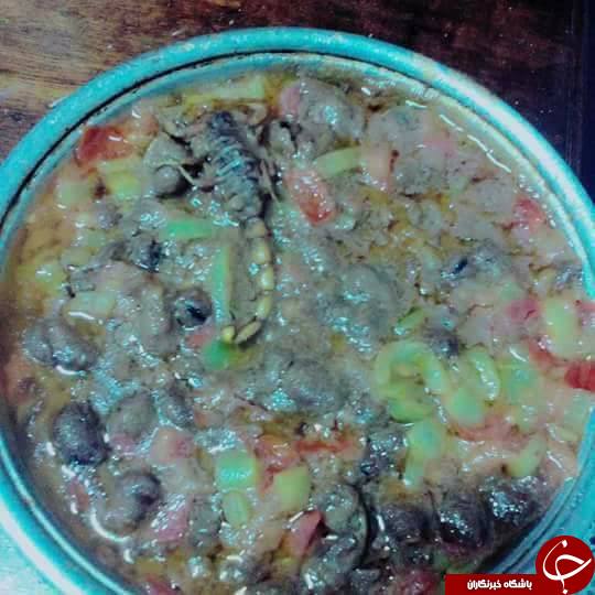 بازی با جان دانشجویان/غذای خطرناکی که در یک دانشگاه سرو می شود+تصاویر