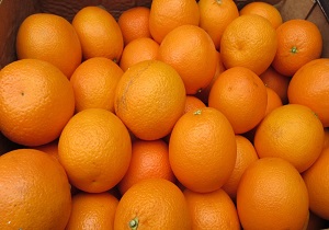 850 تن میوه شب عید در قم ذخیر سازی شد