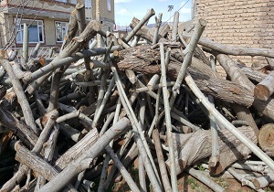 کشف و ضبط دومحموله چوب قاچاق در سردشت