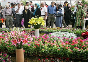 تولید کنندگان گل وگیاه ۷ استان کشور در بابل