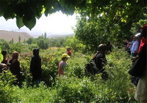 تشکیل ۴۵ تعاونی در ۴۵ روستا