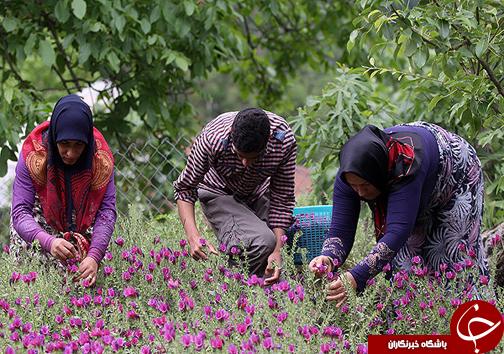 نگاهی گذرا به مهمترین رویداد&zwnj;های پنج شنبه ۳ اسفندماه در مازندران
