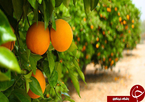 نگاهی گذرا به مهمترین رویداد&zwnj;های پنج شنبه ۳ اسفندماه در مازندران