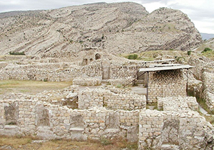 احیای پوشش گیاهی کوه شاهپور