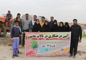 کاشت ۷۰۰ اصله نهال در بستر خشک هامون