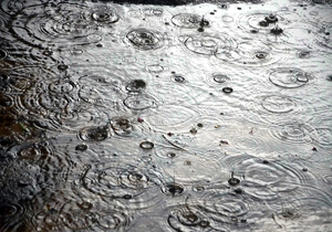 بارش زیبای باران در رفسنجان + فیلم