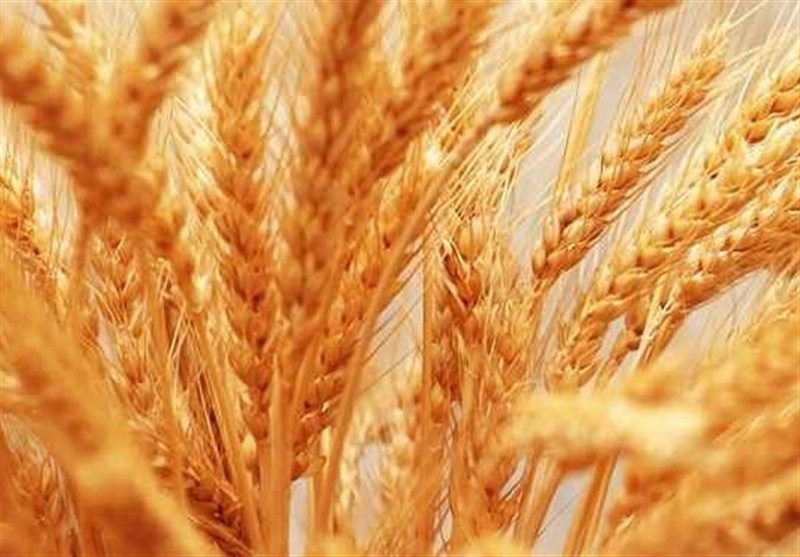 سانچی؛ عامل بروز آلودگی نفتی در جزایر ژاپن/ توقف پرواز هواپيماهای ATR72 آسمان