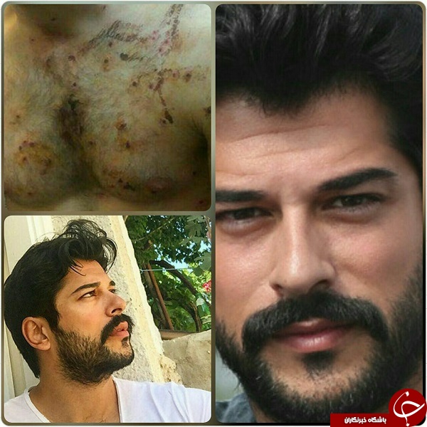 سوتی جدید آمدنیوز