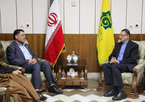 ارتقای روابط سازمان حج و زیارت و هلال احمر برای خدمات رسانی به زائران حج و عتبات