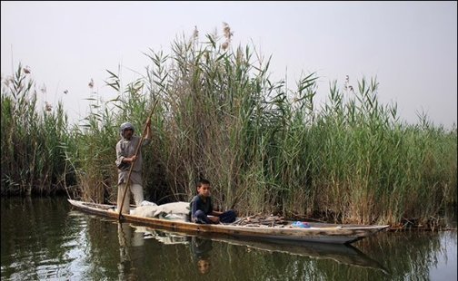 پساب های آلوده عامل تبدیل تالاب بین المللی شادگان به نیزار