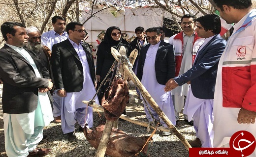 برگزاری جشنواره فرهنگی ورزشی دختران روستایی در روستای گردشگری تمین +تصاویر