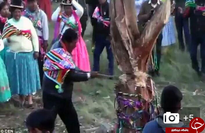 لحظه وحشتناک سقوط درخت روی مرد جوان + فیلم