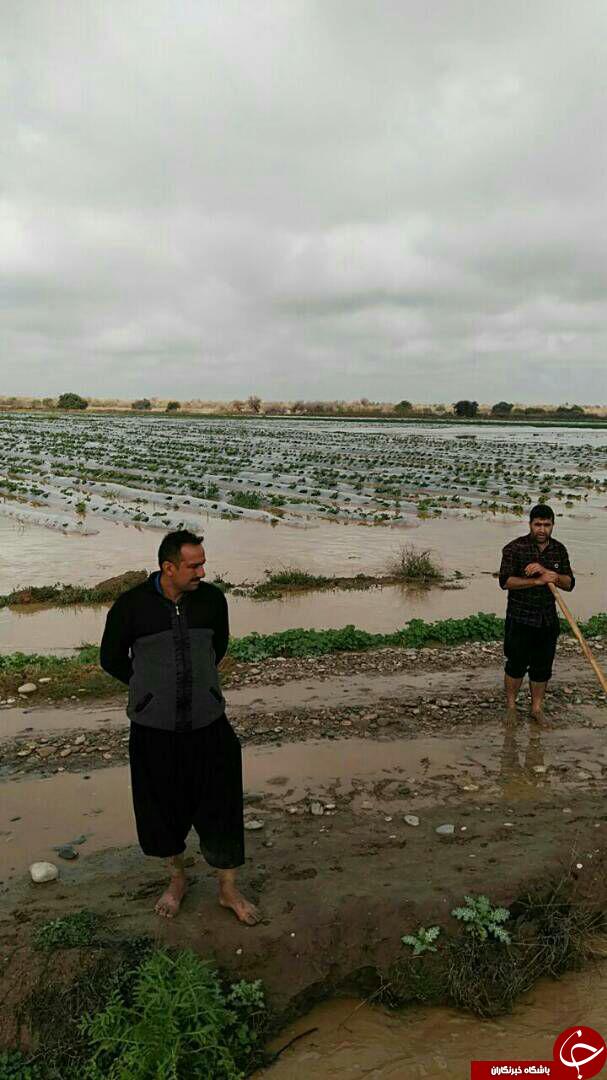 خسارت ناشی از طغیان رودخانه به زمین&zwnj;های کشاورزی 