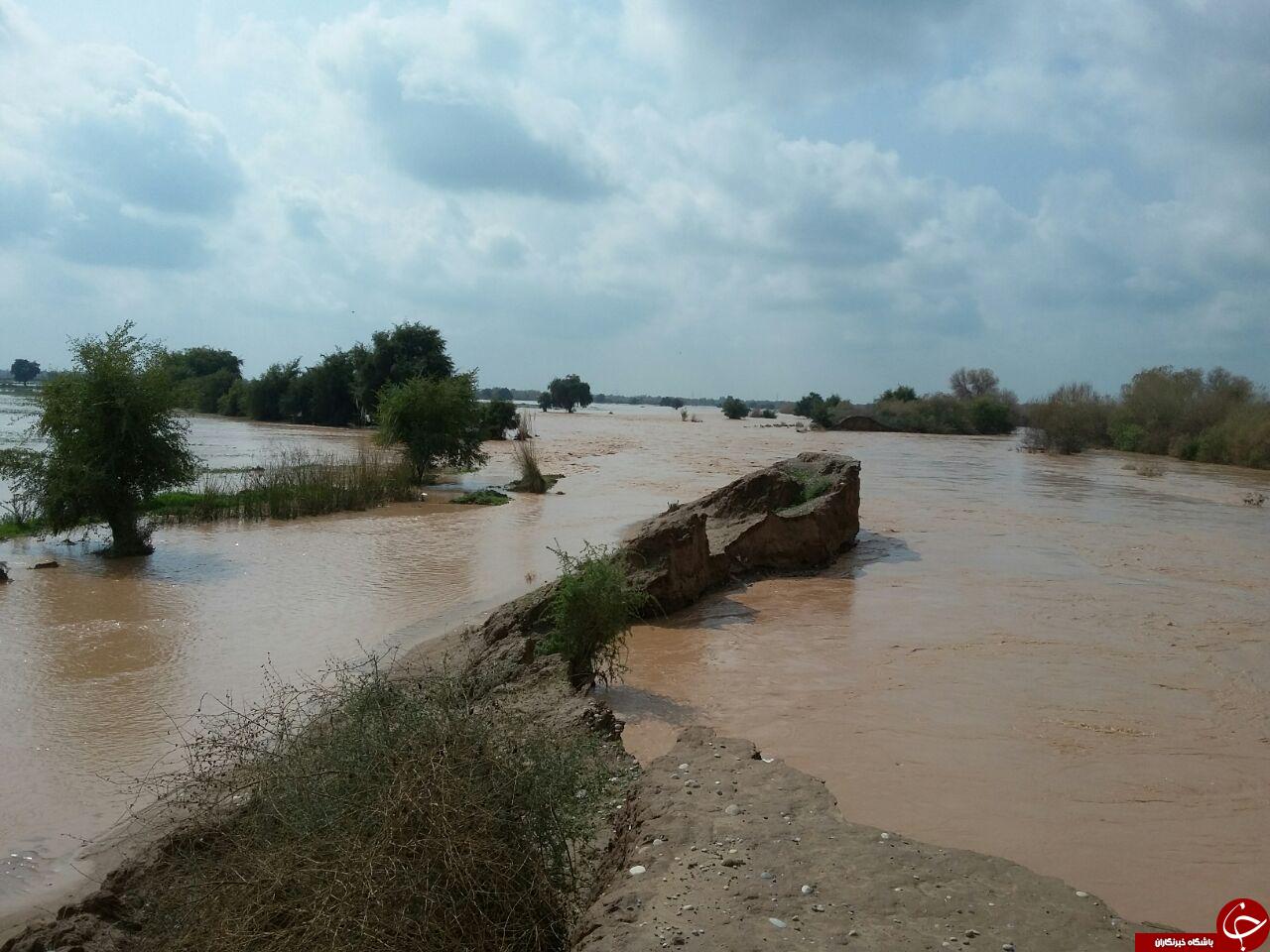 خسارت ناشی از طغیان رودخانه به زمین&zwnj;های کشاورزی 