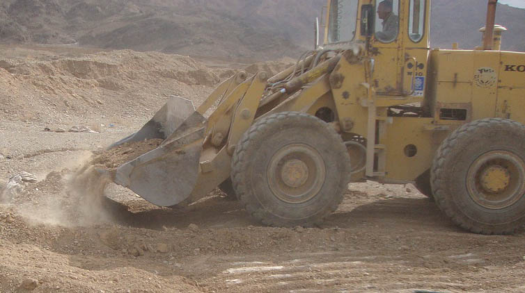 معدوم سازی ۲۰۰ قطعه بوقلمون غیر مجاز در آباده