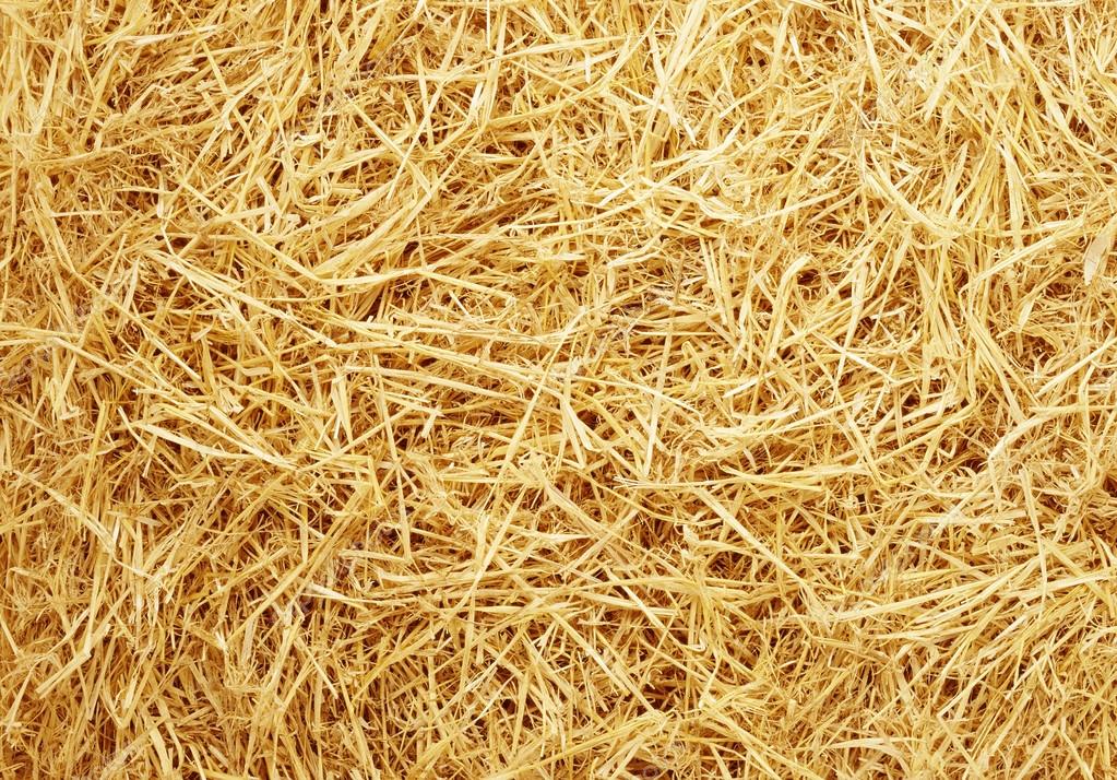 آخرین تغییرات قیمت نهاده های دامی و کشاورزی