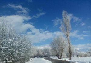 پیش بینی کاهش نسبی دما و وقوع مه صبحگاهی