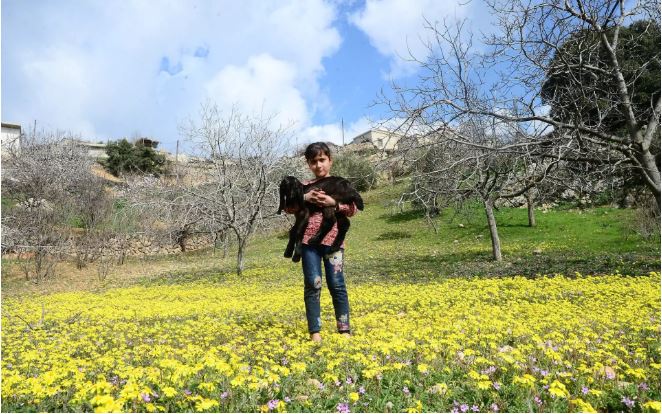 تصاویر روز: از پرواز صدها هزار سار در آسمان انگلیس تا جنگ ربات&zwnj;ها در سی و دومین مسابقه روبو-وان