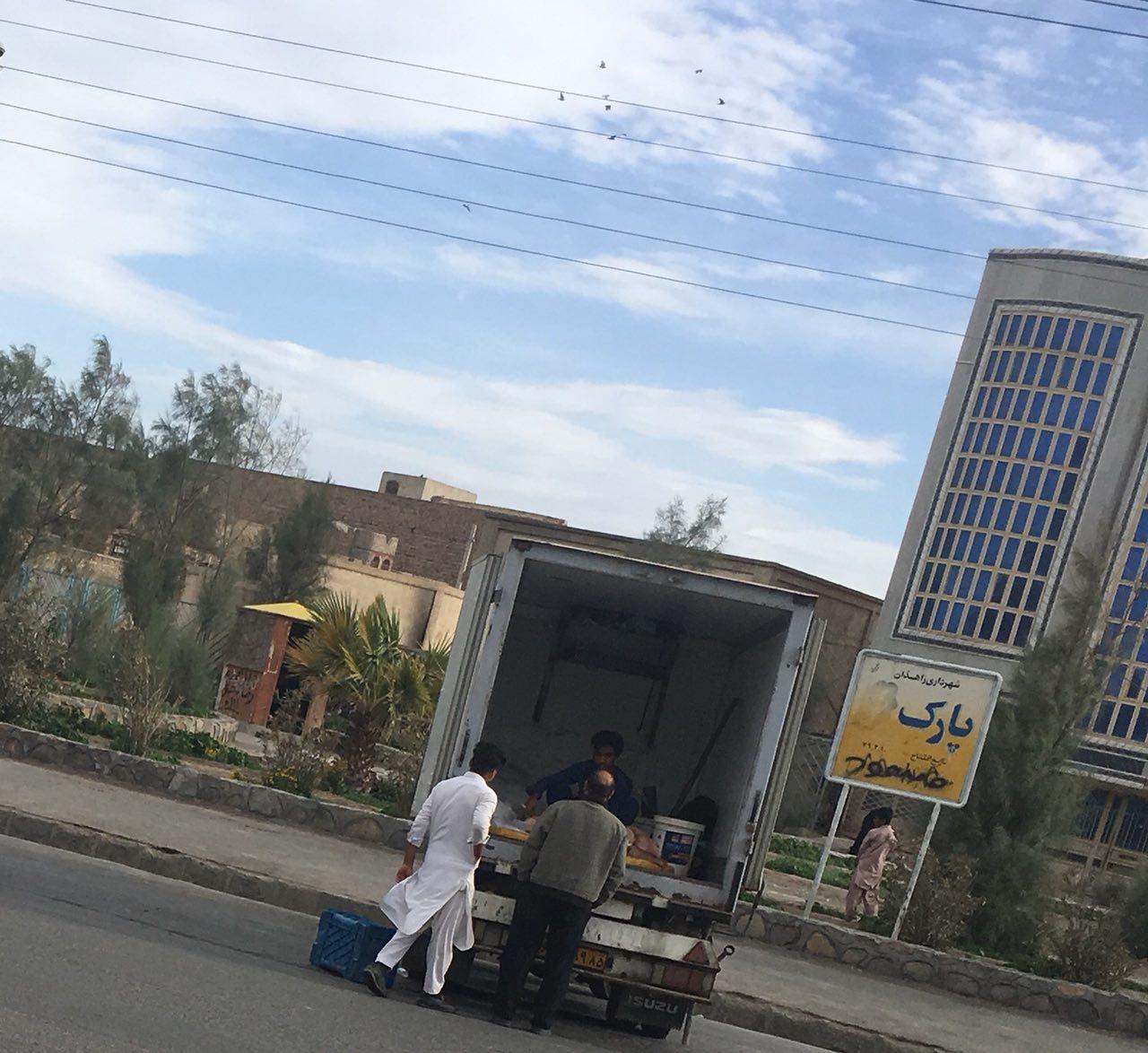 فروش غیر بهداشتی ماهی در زاهدان! + تصاویر
