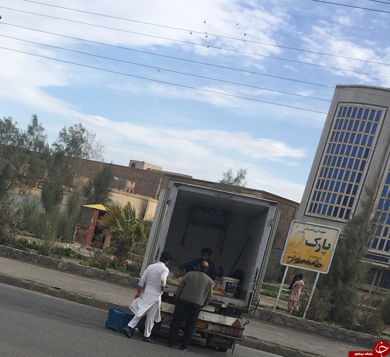 فروش غیر بهداشتی ماهی در زاهدان! + تصاویر