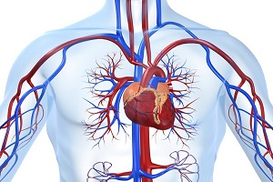 بهره‌برداری از پیشرفته‌ترین و جدیدترین دستگاه نقشه‌برداری قلب در ایران