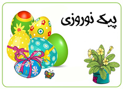 سایت کارت ملی هوشمند در کما + صوت