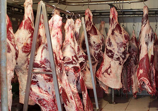 استان گلستان صادرکننده فرآورده های خام دامی