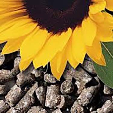آخرین قیمت نهاده های دامی و کشاورزی در بازار