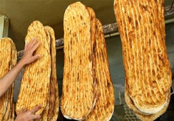 اشتغال خانگی با پرورش ماهی + فیلم