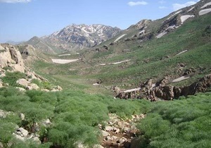 خلع ید بیش از هزار و۴۰۰ هکتار از اراضی ملی در آذربایجان غربی