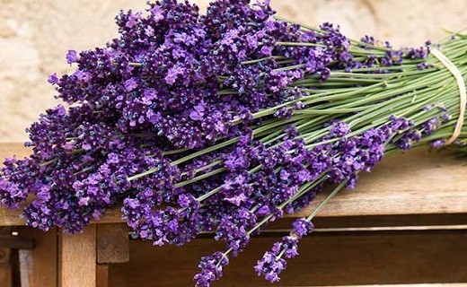 با این خوراکی&zwnj;ها از آب مروارید جلوگیری کنید/ گیاهی برای کاهش اضطراب/ &nbsp;یک پروتئین فوق العاده/ راهی آسان برای حذف جوش&zwnj;های صورت