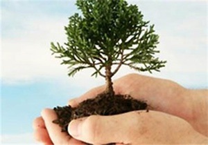توزیع 17 هزار اصله نهال در خوسف