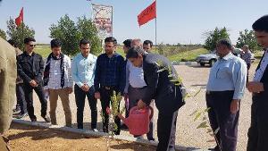 اجرا شدن طرح ملی جنگلانه در اندیمشک