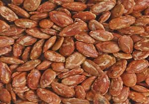 تخمه جابونی یا تخمه ژاپنی؟!