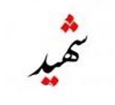 عامل شهادت مامور ناجای اهواز یک مالخر بود