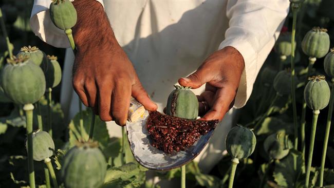 ایران قربانی همسایگی است/جمعیت معتاد کشور نگران کننده است