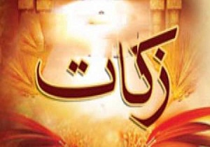رشد زکات واجب و مستحب در میامی