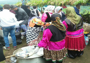 برگزاری جشنواره گردشگری روستایی و حفاظت از محیط زیست در ساری