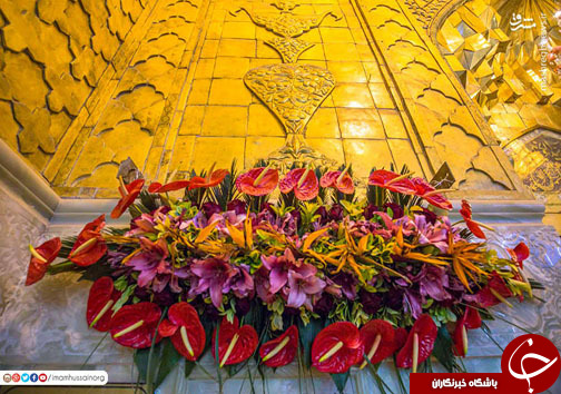 حرم امام حسین(ع) و حضرت عباس در اعیاد شعبانیه+تصاویر